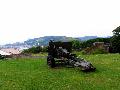 gal/holiday/Dover Castle 2006/_thb_Gun_overlooking_harbour_IMG_2049.JPG